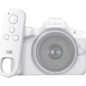 Беспроводной пульт для камер Canon (BR-E1) белый цвет